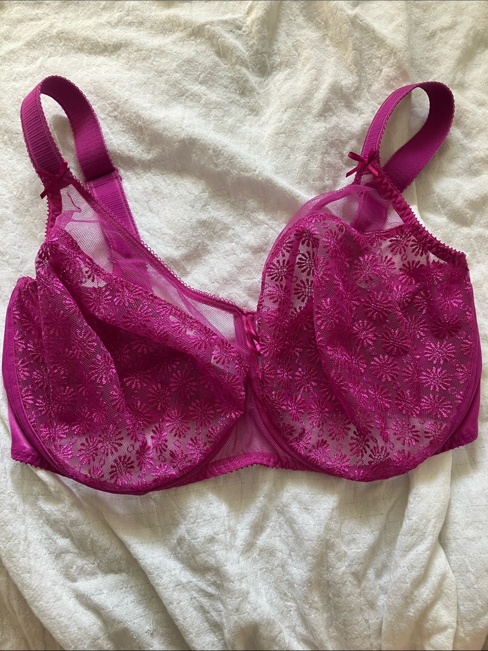 Sheer Floral Lace Underwire Bra in Fuchsia - 34 G